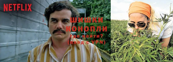 ешки Михайловск